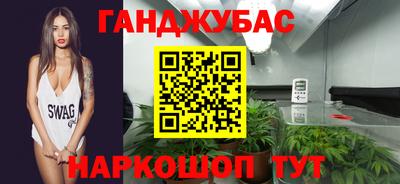 стафф Кингисепп