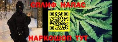 стафф Кингисепп