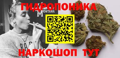 прущая мука Кимры
