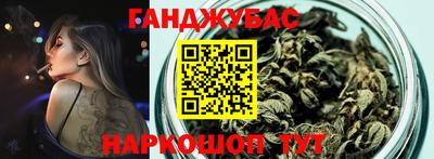 стафф Кингисепп