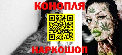 стафф Кингисепп