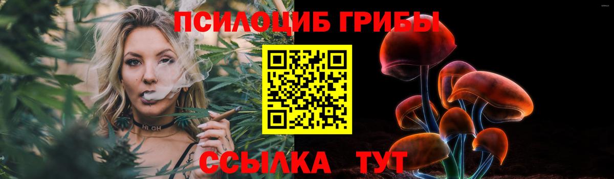 Краснокаменск  Галлюциногенные грибы GOLDEN TEACHER  Вход с VPN 
